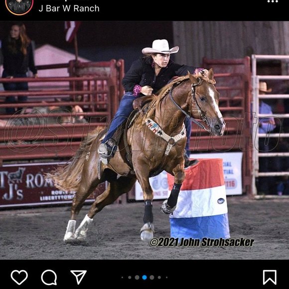 Meet your Posher, Mandy - Picture 4 of 5